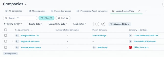 Modern CRM Companies List Interface